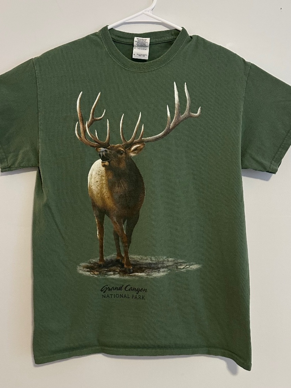 Men's Grand Canyon National Park Animal Print T-Shirt M Green Y2K Short Sleeve